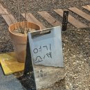 중앙로5길 | 대전 소품샵 대전역 중앙로 근처 소제동 여기소제 카페