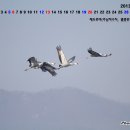 고니 PC 이미지