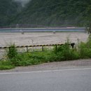 수산주유소 이미지