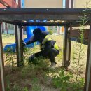 교현초교 병설유치원 이미지