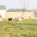 재진축산 이미지