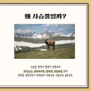 코뿔소한의원 이미지