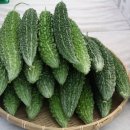 천령식품 이미지