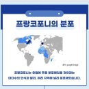 인사이터스 | 당신은 내 눈 속의 🍊