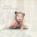 하비스튜디오 이미지