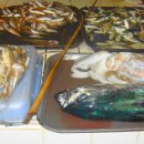 풍기동물병원 이미지