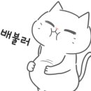 샐러디 충남금산점