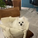 피클샵