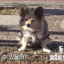 베테랑목장 이미지