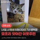 고양이를 한 층,한 층 밀대로 던져 현관 밖 하수구로 던져 죽게 한 노인 (탄원 서명중)(던지는 영상은 첨부안했어) 이미지