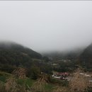 약초사랑