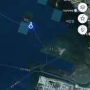 자유시간PC방 | 군산 참바다호 배낚시 후기 / 낚린이 부부의 첫 배낚시 도전기