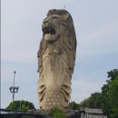 바이더카 이미지