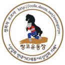 스포츠외교관 김연아, 2014년 IOC위원된다? 이미지