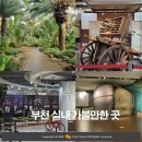 오정식물원 이미지