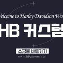 비티스 이미지
