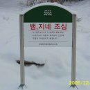 용현자연휴양림 야영장 Daum카페