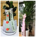 양무검도관 이미지