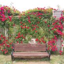 오월과 유월 사이 이미지