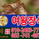 진주도배공사 이미지