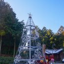 정남진 편백숲 우드랜드 이미지