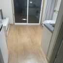 울릉푸른나무 이미지