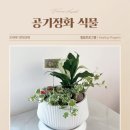 서울성심한방병원 네이버블로그