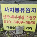 사자봉민박 이미지