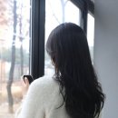 부남면 행정복지센터 작은목욕탕 | 대전 원신흥동 미용실 헤어샵 머리 잘하는 뮤리헤어룸 소희원장