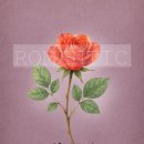 선인테리어 이미지