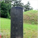 126호