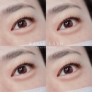 하비래쉬