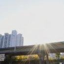 한성개발공인중개사사무소 이미지