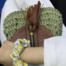 모케헤어