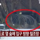 관저로 이미지