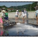 산들바농장 네이버블로그