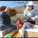 지리산화개깊은골 이미지