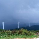 바람개비 이미지