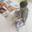 울산 북구 어린이서점 토리 아람 수학특공대 전집 구매후기