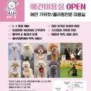 뷰티 몽 이미지