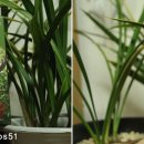 (주)웰피아 이미지