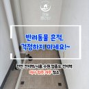 이사청소 티스토리