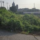 궁평2리 마을회관 이미지