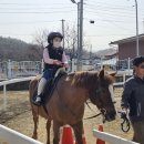 가평초등학교 이미지