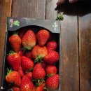 천운농장-2 이미지