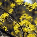 상천리 마을회관 이미지