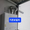 사파동255 이미지