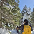 (주)리더디자인 | [일본 나고야] 원피크 <북알프스 겨울트레킹> 상세 후기 | 일본트레킹패키지 일본트레킹코스추천