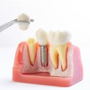 바룸치과의원 이미지