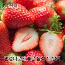 만성피로에 좋은 음식 ㅡ 이미지